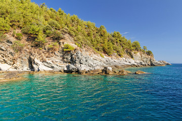 Canvas Print - Green island