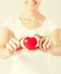 Wall Mural - woman hands with heart