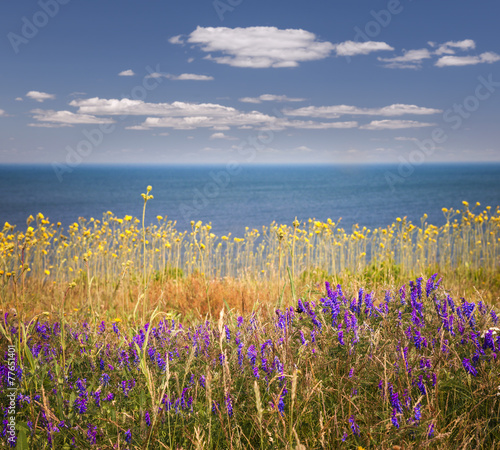 Naklejka na meble Wildflowers and ocean