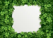 Clover Leaves Background With Blank Card