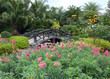 landscape of floral gardening with pathway and bridge in garden