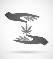 Poster - Hands protecting or giving a marijuana leaf