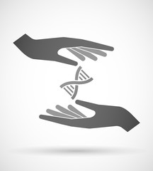 Wall Mural - Hands protecting or giving a DNA sign