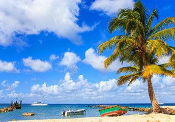 Sticker - Caribbean beach in Dominican Republic