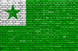 flag of Esperanto painted on brick wall