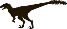 Velociraptor With Feathers Silhouette