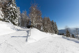 Fototapeta  - paysage hivernal des Vosges