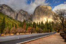Road Through Yosemite Valley