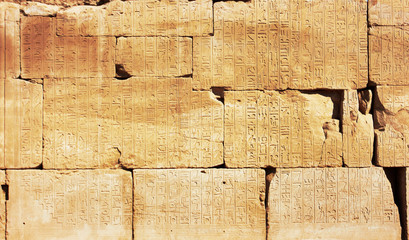 Old Egypt Hieroglyphs