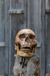 Human skull rests on the old wood.