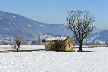 Wall Mural - campagna nevosa