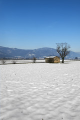 Wall Mural - campagna nevosa