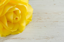 Beautiful Yellow Rose On A White Shabby Table