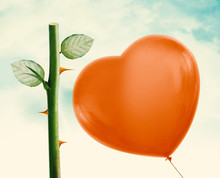 Rose Thorn And Red Balloon