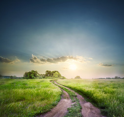 Wall Mural - rural road in field with green grass
