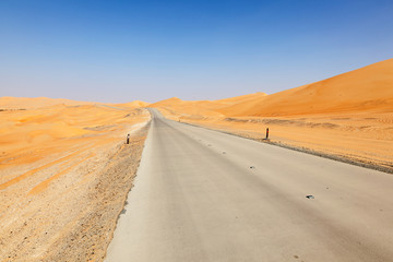 Wall Mural - Desert road in Abu Dhabi, United Arab Emirates