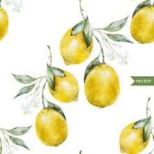 Lemon Pattern3