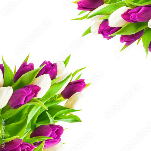 Naklejka na kafelki Tulpen, Grußkarte