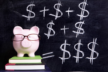 Piggy Bank piggybank wearing glasses with savings plan growth formula message and chart written on a blackboard or chalk board photo