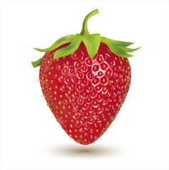 Wall Mural - Strawberry isolated on white. Vector