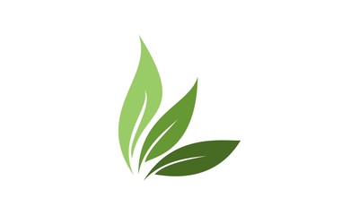 leaf logo vector illustration design template