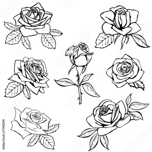 Naklejka na kafelki Set Rose sketch.