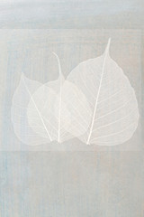 Wall Mural - white foliage