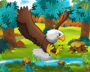 Cartoon scene - wild Asia animals - Caricature - eagle - illustration for the children