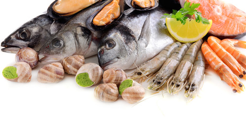 Poster - Fresh fish and other seafood isolated on white