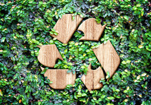 Eco Concept :Wood Texture Recycle Icon On Green Leaves Wall