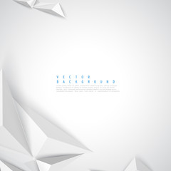 Wall Mural - vector background abstract polygon triangle.