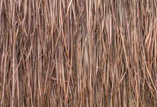 Thatch Roof Background, Hay Or Dry Grass Background