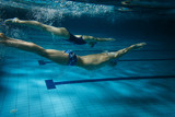 Fototapeta Tęcza - Swimmers at the swimming pool.Underwater photo.