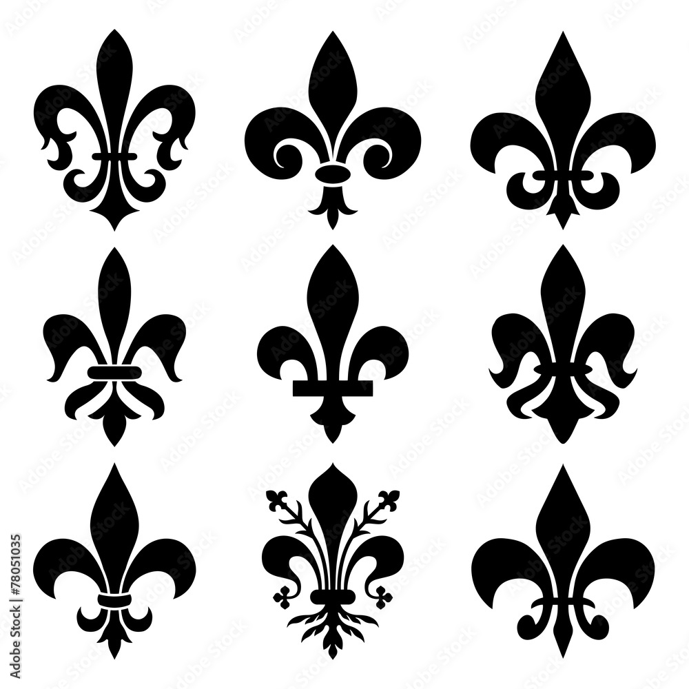 Royal Lily Royal Lily