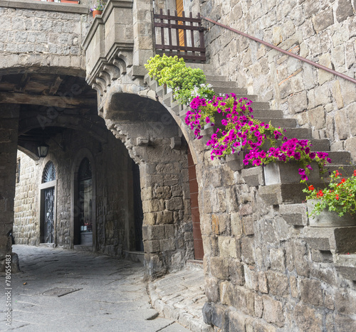 Fototapeta na wymiar Viterbo (Italy)