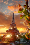 Fototapeta  - Eiffel Tower during beautiful  spring morning in Paris, France