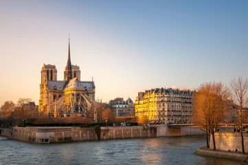 Fototapete - Notre Dame Paris