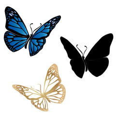 Wall Mural - Butterfly set