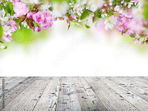 Naklejka na drzwi Spring blossoms background
