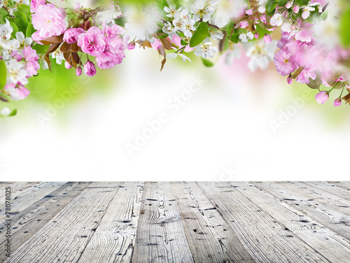 Obraz w ramie Spring blossoms background