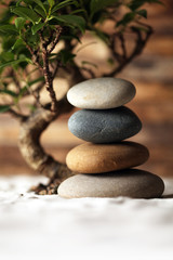 Wall Mural - stacked stones on sand with bonsai tree
