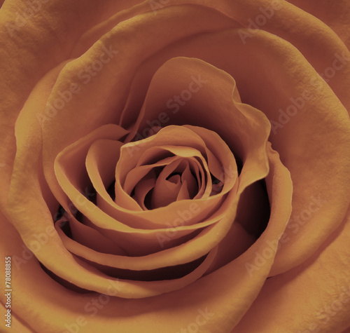 Dekoracja na wymiar  brazowa-roza
