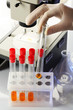 © Africa Studio - Assistant hand in gloves making analysis in laboratory with