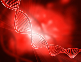 Wall Mural - DNA structure on abstract red background