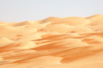 Wall Mural - Desert landscape in Abu Dhabi, United Arab Emirates