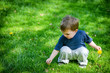 © SHS Photography - Young Boy Picking Dandelion Flowers