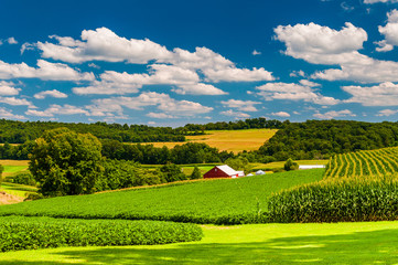 farm fields and rolling hills in rural york county, pennsylvania