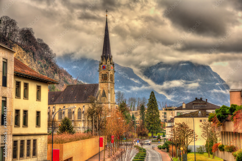 Obraz na płótnie View of Cathedral of St. Florin in Vaduz - Liechtenstein w salonie