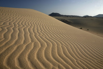 EUROPE CANARY ISLANDS FUERTEVENTURA