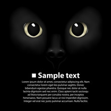 Cat's Eyes On A Black Background